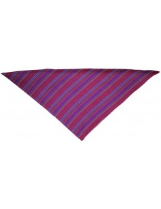 Pañuelo-cachirulo triangular, niño, rayas. Color 105. 2