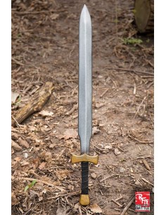 Espada de luchador