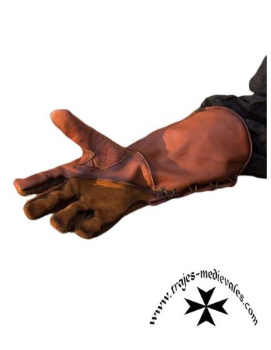 Guantes de Halcón en Cuero Negro y Marrón -...