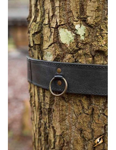 Medieval leather belt, double buckle (Various...