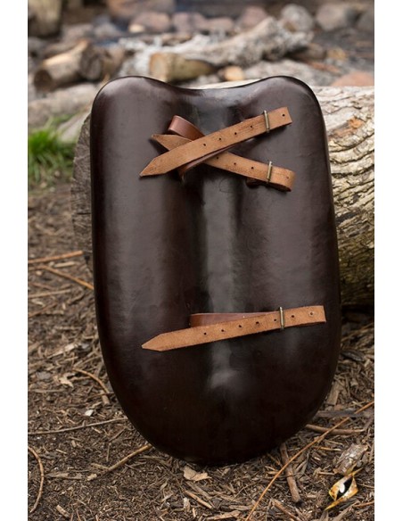 Broquel de los Elfos Silvanos 48x28 cm