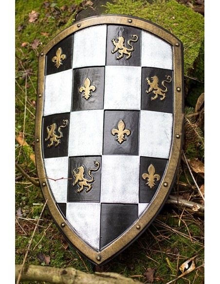 Escudo a cuadros - 80x50 cm