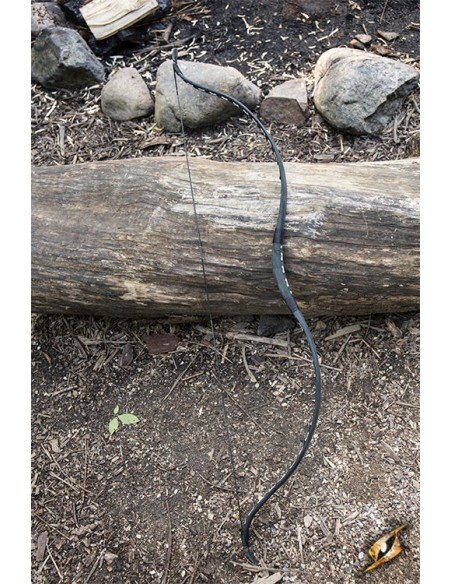 Arco de escudero, 26 lbs 28" - Mediano