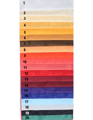 Carta de colores.