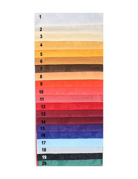 Carta de colores.